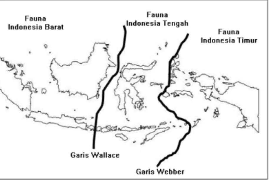 Garis Wallace, Batas Tak Kasat Mata yang Membelah Keanekaragaman Hayati Indonesia