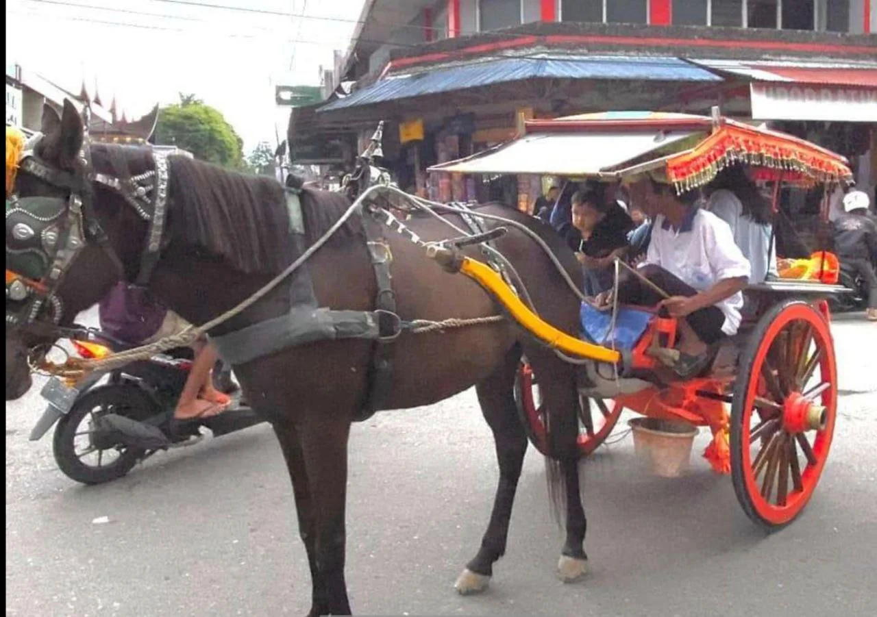 Bendi Transportasi yang Kian Langka di Sumbar