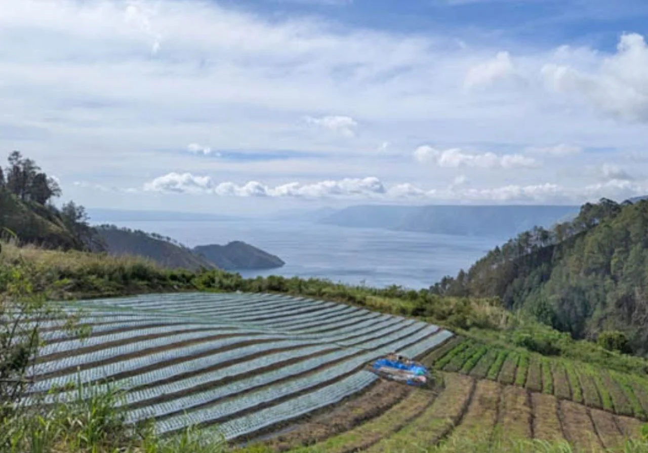 Pariwisata Terpuruk Pascabencana, Kunjungan Anjlok dan Pelaku Usaha Menjerit