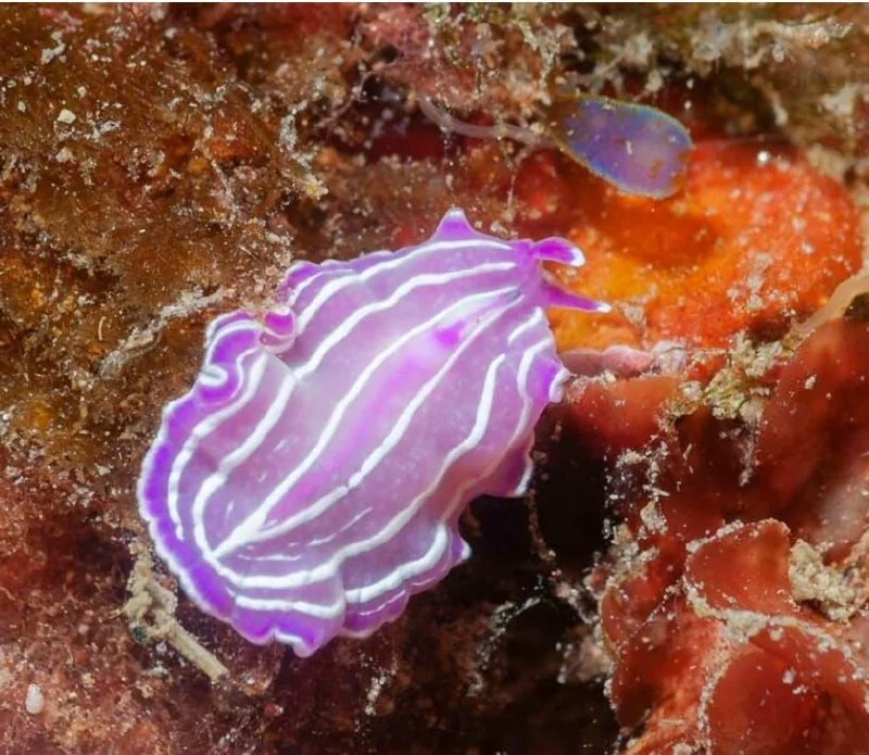 Pariwisata Sumbar Masih Tersandera Masalah Akses dan Tata Kelola