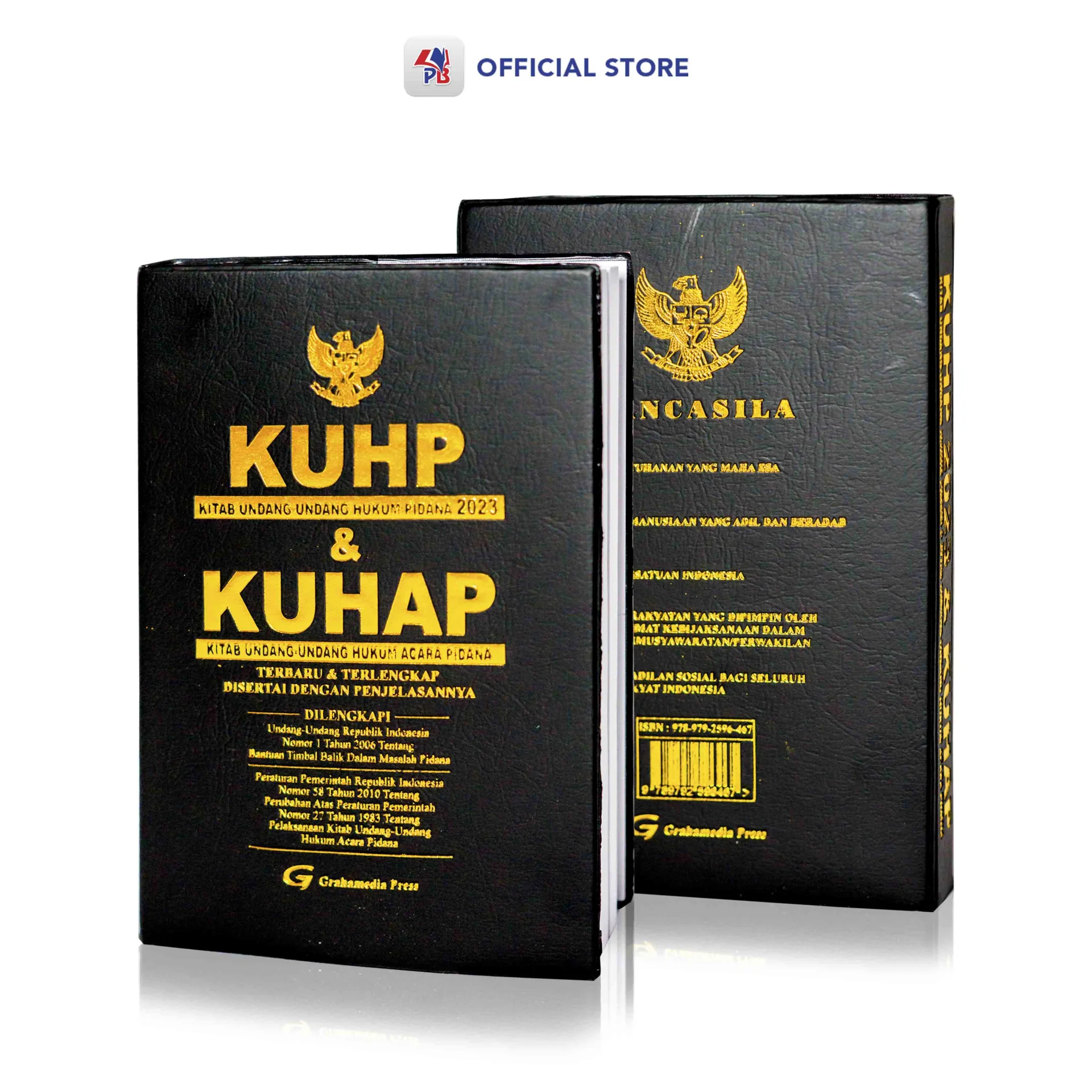 Pasal-Pasal Rawan Kriminalisasi dalam KUHP Nasional: Analisis Kritis dari Perspektif Praktik Advokat